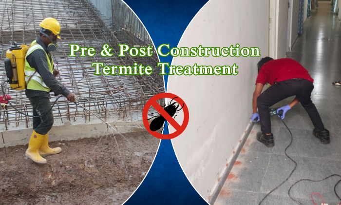 termite treatment